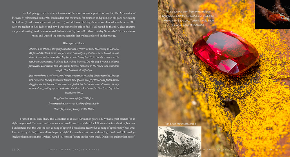 Gemstones book