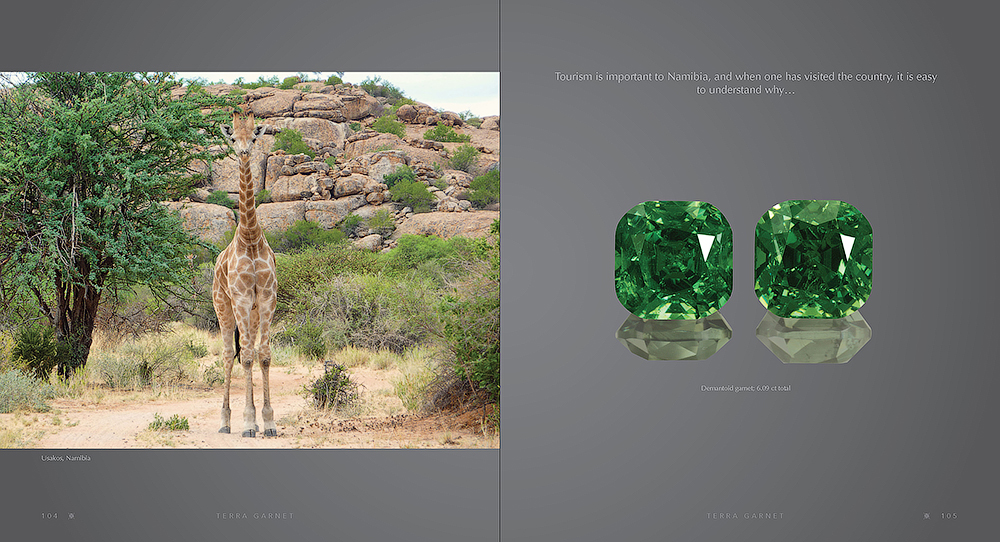 Gemstones book